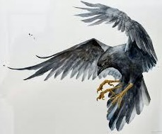 飛翔するタカのイラスト、翼を広げて特徴的な黄色い爪を見せている